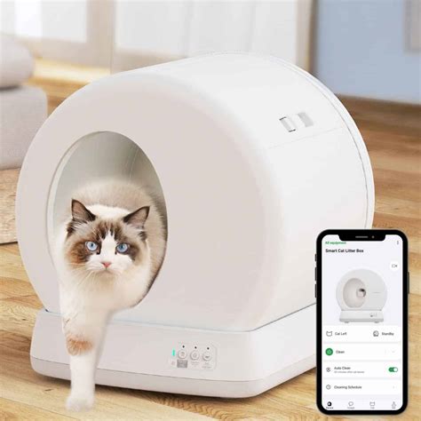 refined feline website.